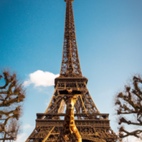 Giraffe standing in front of Eiffel Tower